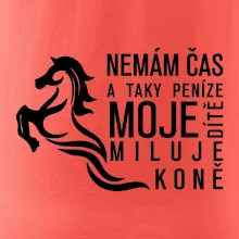 Nemám čas a taky peníze - Kůň