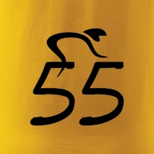 Cyklista slaví pětapadesátku (55)