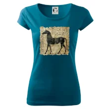 Egyptské hieroglyfy kůň