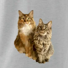 Kočky vectorizované  (Moňas)