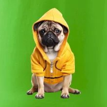 Mops v mikině
