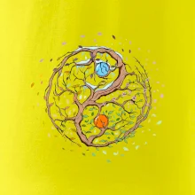 Yin & Yang strom - zima, léto