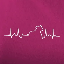 Stafordšírsky bulteriér EKG