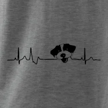 Jack Russell Terriér hrubosrstý Ekg