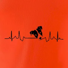 Jack Russell Terriér Ekg