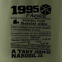 1995 v kostce