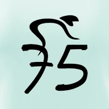 Cyklista slaví pětasedmdesátku (75)