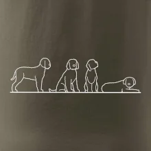 Lagotto romagnolo postavy linka