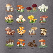 Atlas hub - triko s houbami