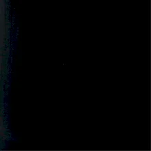 Evoluce agility žena