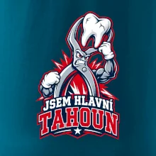 Jsem hlavní tahoun
