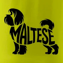 Maltézský psík nápis v těle
