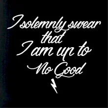 I solemnly swear that I'm up to no good