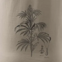 Konopí kytka černobílá