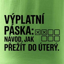 VÝPLATNÍ PÁSKA: Návod, jak přežít do úterý