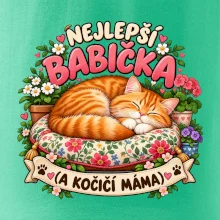 Nejlepší babička a kočičí máma spící zrzavý kocour