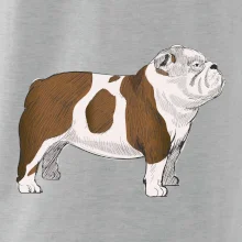 Vintage English bulldog