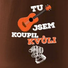 Tu kytaru jsem koupil kvůli tobě
