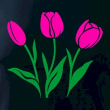 Tři tulipány Tři tulipány