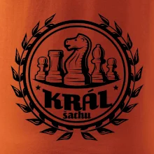 Král šachu