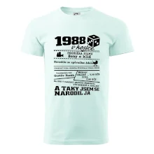 1988 v kostce