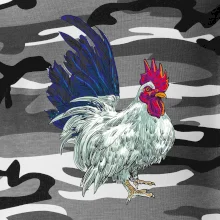 Kohout kreslený bílý