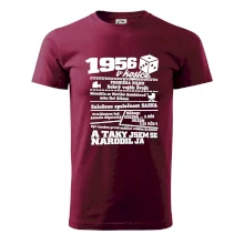 1956 v kostce
