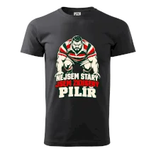 Nejsem starý, jsem zkušený pilíř