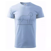 Lagotto romagnolo stojící Lagotto romagnolo stojící