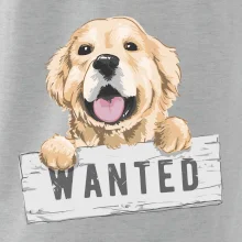 Zlatý retriever - štěně wanted