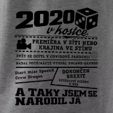 2020 v kostce