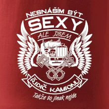 Nesnáším být sexy - řidič kamionu