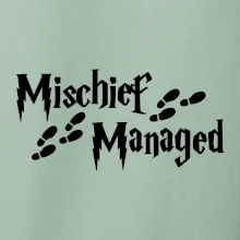Harry - Mischief Managed