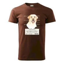 Lump a darebák labrador