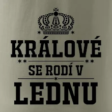Králové se rodí v lednu