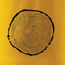 Letokruhy 75 bez věku