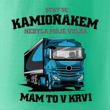 Stát se kamioňákem nebyla moje volba