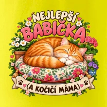 Nejlepší babička a kočičí máma spící zrzavý kocour