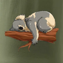 Koala na větvi