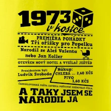 1973 v kostce