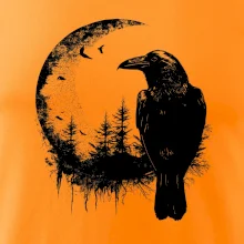 Vrána a měsíc