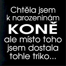 Chtěla jsem dostat k narozeninám koně