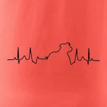 Stafordšírsky bulteriér EKG