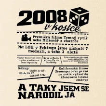 2008 v kostce