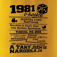 1981 v kostce