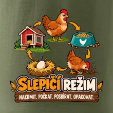 Slepičí režim od krmení po sběr vajec