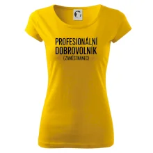 PROFESIONÁLNÍ DOBROVOLNÍK (zaměstnanec)