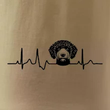 Lagotto romagnolo hlava EKG