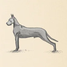 Vintage Great dane