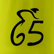 Cyklista slaví pětašedesátku (65)